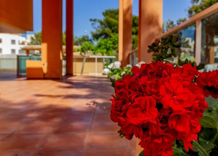 Apartment Realrent Mirador Al Mar *